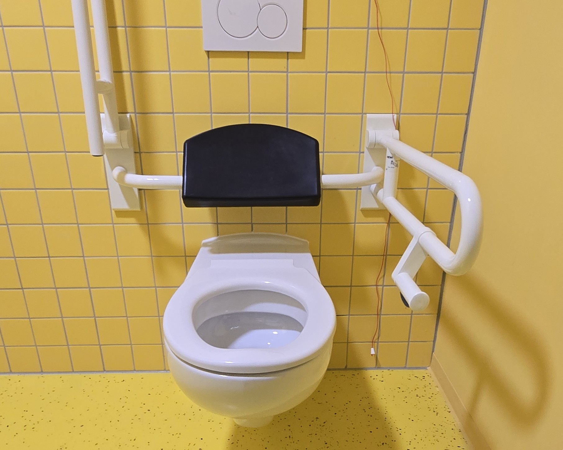 Toilette mit Haltegriffen