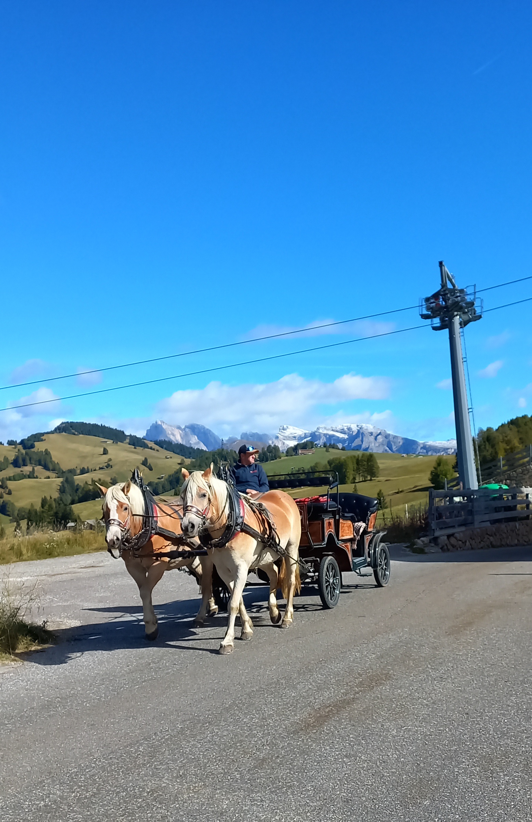 Ein Pferdegespann (Haflinger) kommt des Weges, bester Sonnenschein